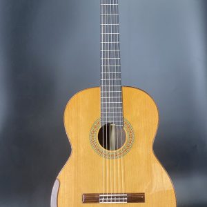 Cedar Indian Rosewood All Solid Classical Guitar-Rositars – No. 10C