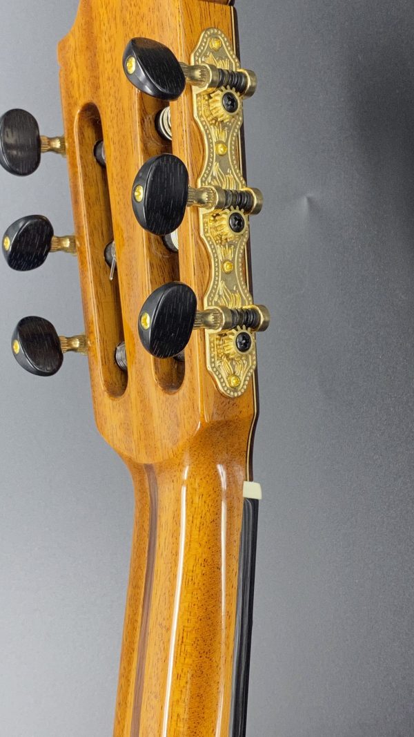 Spruce Indian Rosewood All Solid Classical Guitar-Rositars – No. 10
